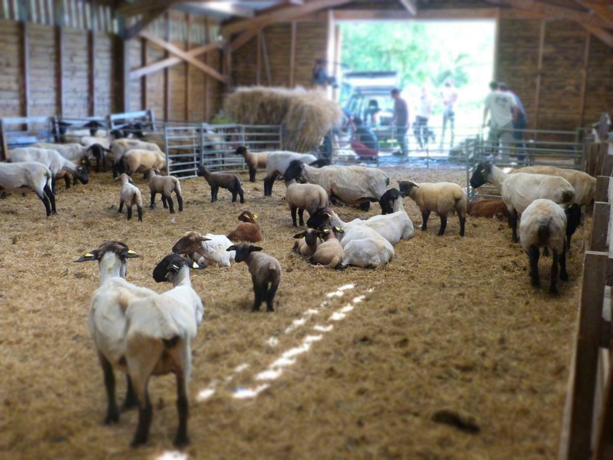 La Ferme Du Vincin Acomodação com café da manhã Vannes Exterior foto